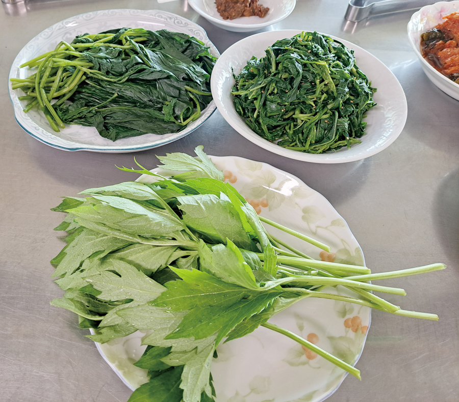 240519 진동요셉의집 사진-2(홈피용).jpg